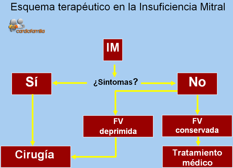 Esquema terapéutico de la insuficiencia mitral insuficiencia_mitral_cardiofamilia